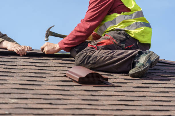 Best Roof Leak Repair  in Meadowbrook, VA