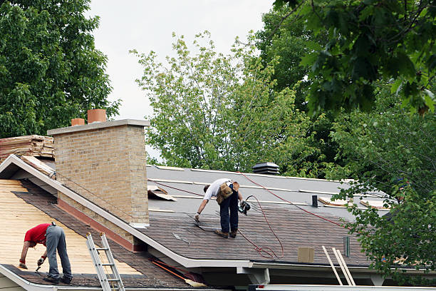 Best Residential Roofing Contractor  in Meadowbrook, VA