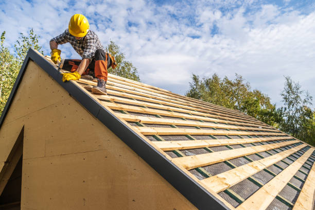 Best Roof Gutter Cleaning  in Meadowbrook, VA