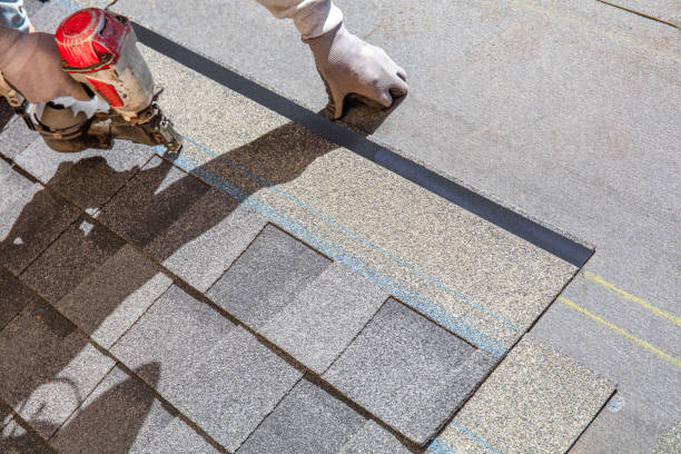 Best Roof Waterproofing Services  in Meadowbrook, VA